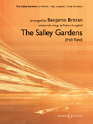Irish Folk Tune - The Salley Gardens (Irish Tune)
